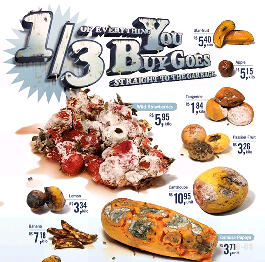 買った食べ物、どれぐらい腐らせてますか?